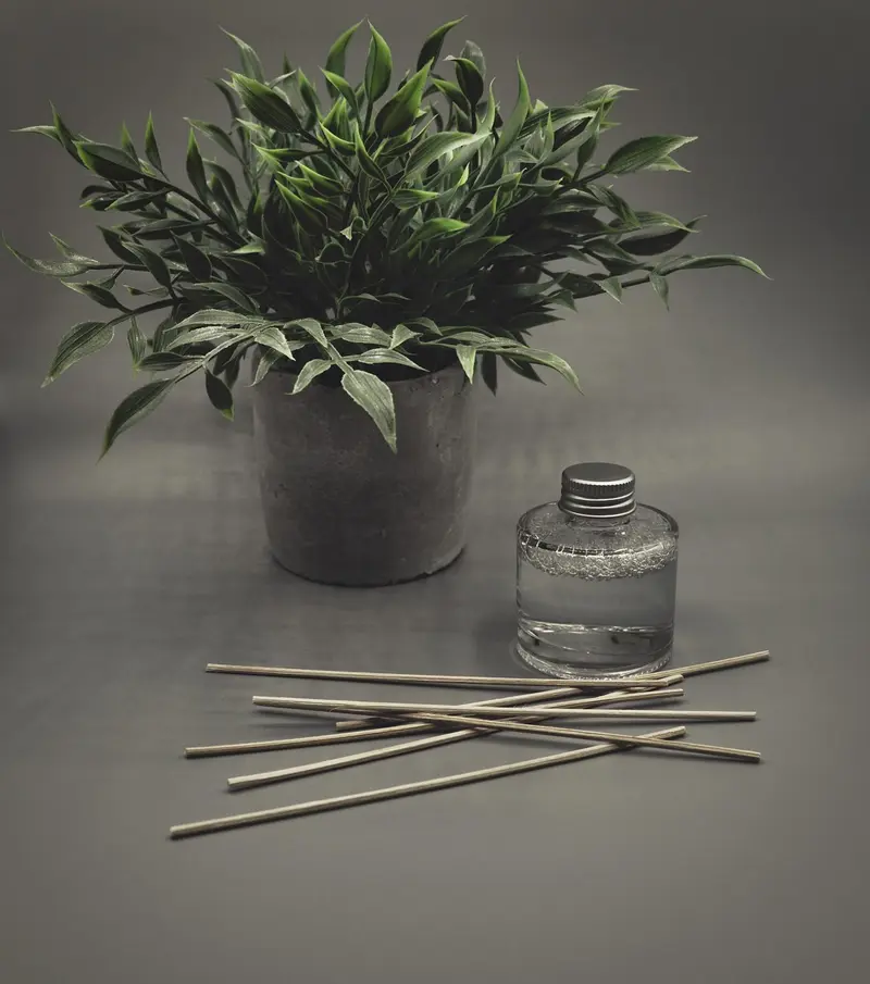 how to set up a vetiver oil diffuser routine for your home